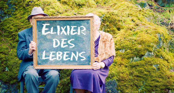 Reishi - Elixier des Lebens
