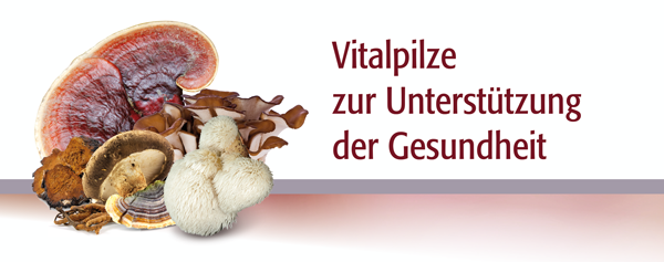 Vitalpilze