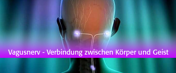 Das Erlangen besserer Gesundheit durch den Vagusnerv