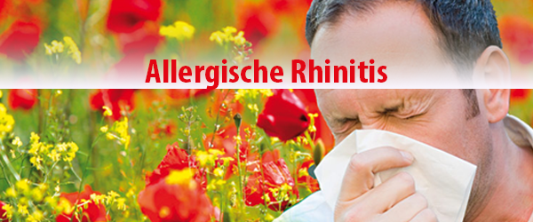 Naturheilkundliche Ansätze bei Heuschnupfen