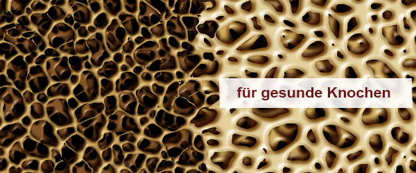 Knochengesundheit und Osteoporose 