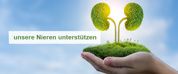Naturheilkundliche Ansätze zur Unterstützung unserer Nieren