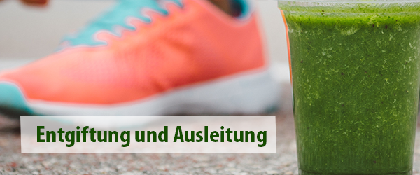 Wichtige Stoffe für Entgiftung und Ausleitung