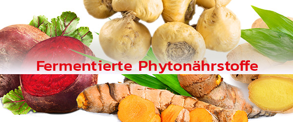 Das außergewöhnliche Potential von Fermentation