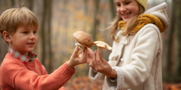 Kinder beim Sammeln von heimischen Pilzen