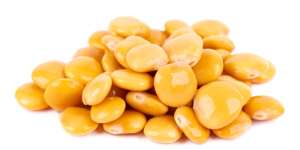 Lupinensamen