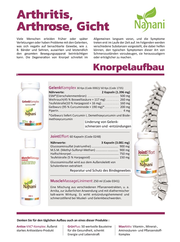 KNORPELAUFBAU