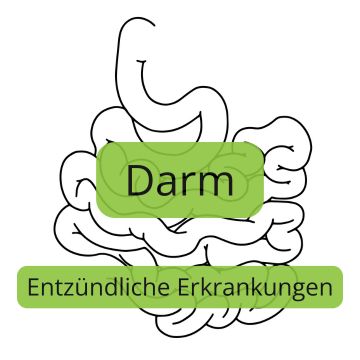 Darm_2_