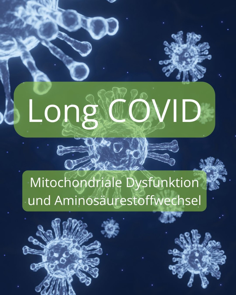 Long COVID - mitochondirale Dysfunktion und Aminosäurestoffwechsel