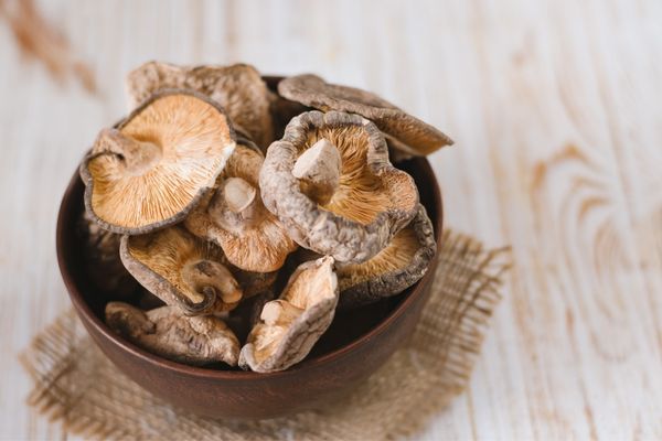 Shiitake als asiatischer Vitalpilz